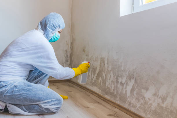Licensed Bathroom Mold Removal service in Middletown, VA - WQB Mold Removal
