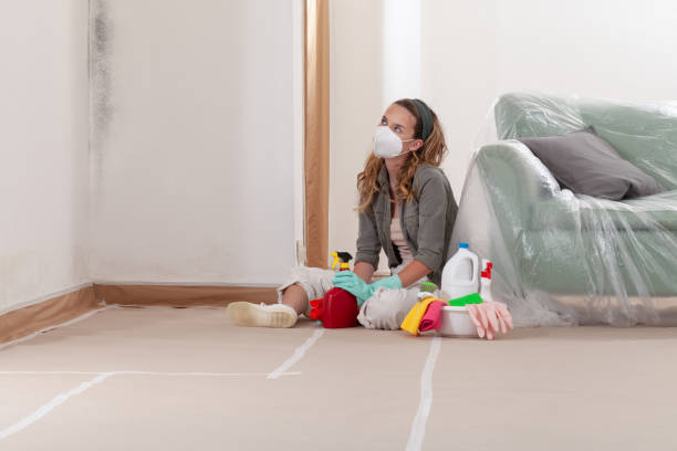 Reliable Bathroom Mold Removal contractor in Middletown, VA by WQB Mold Removal