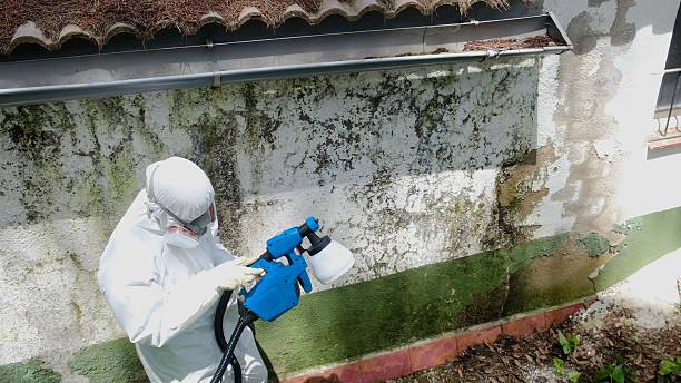 Top rated local Bathroom Mold Removal specialists in Middletown, VA